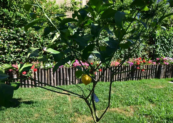 Giardino Sorrentino 4* Sorrento