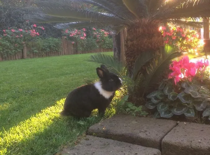 Giardino Sorrentino Bed & Breakfast