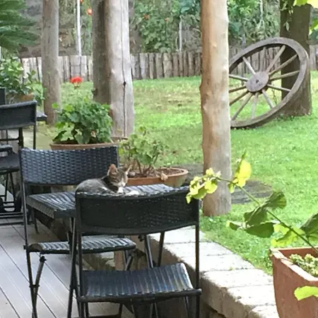 Bed & Breakfast Giardino Sorrentino