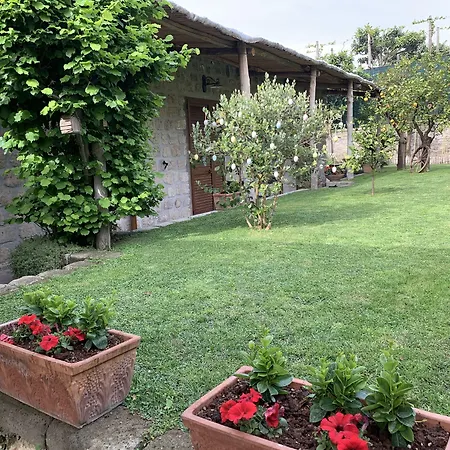 Bed & Breakfast Giardino Sorrentino Sorrento
