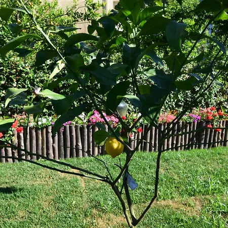 Giardino Sorrentino 4* Sorrento