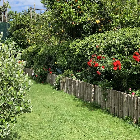 Bed & Breakfast Giardino Sorrentino