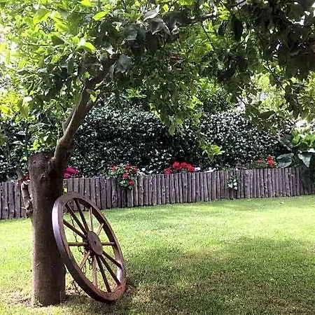 Bed & Breakfast Giardino Sorrentino