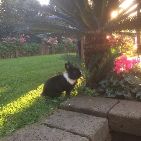 Giardino Sorrentino Bed & Breakfast