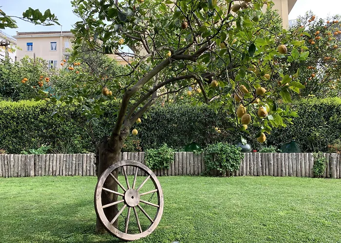 贾尔迪诺索伦蒂诺住宿加早餐旅馆 索伦托