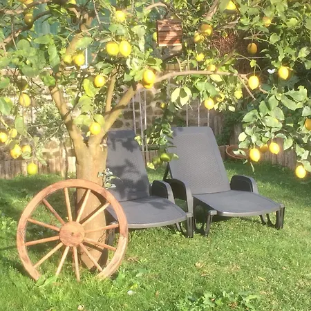 Giardino Sorrentino فندق مبيت وإفطار 4*