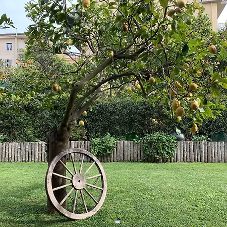 Giardino Sorrentino Sorrento
