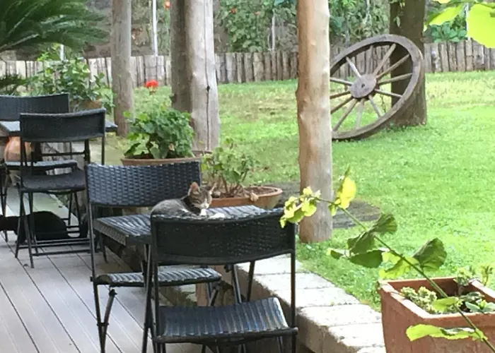 Bed & Breakfast Giardino Sorrentino