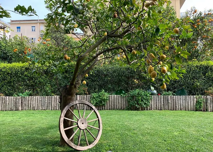 Giardino Sorrentino Półwysep Sorrentyński